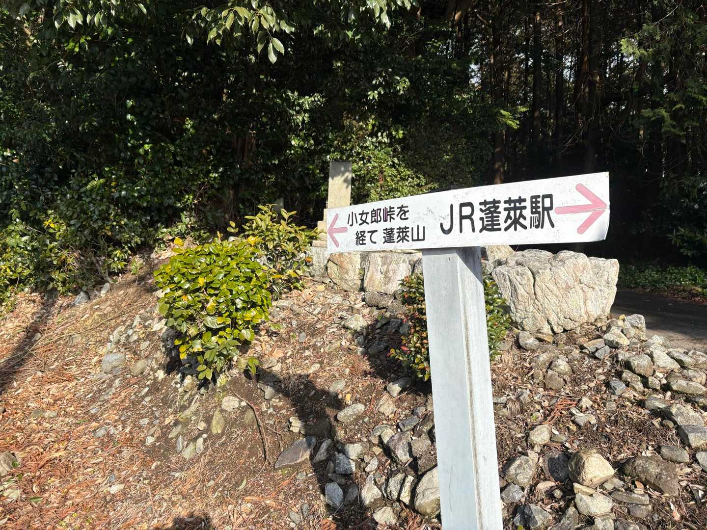 蓬莱駅-小女郎峠 往復コースの写真
