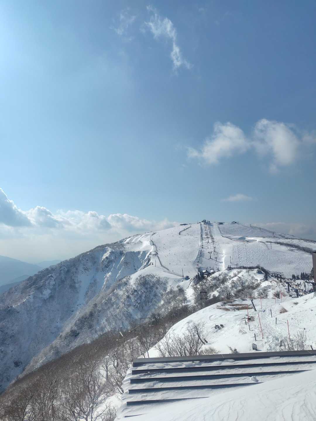 天狗杉-打見山-ロープウェイ山頂駅 往復コースの写真