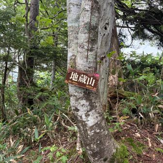 地蔵山まではすぐ．
道も良く．眺望は無し．