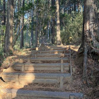 整備されてます。