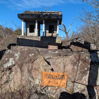 というか、このお社が山頂でした😂