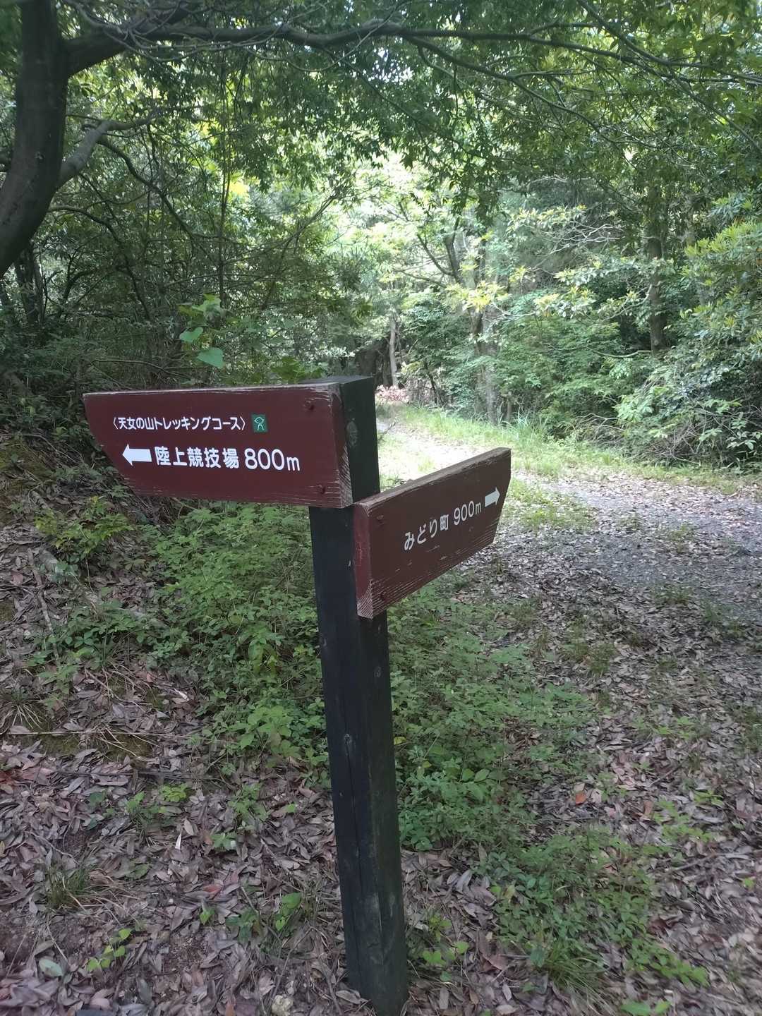 みどり町からの車道と合流