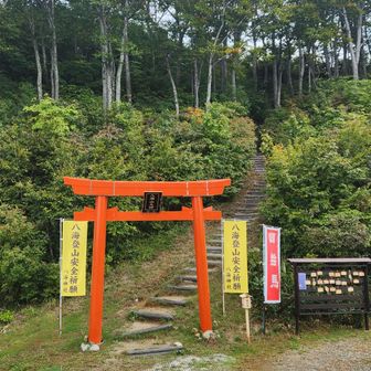 鳥居が登山口のスタート