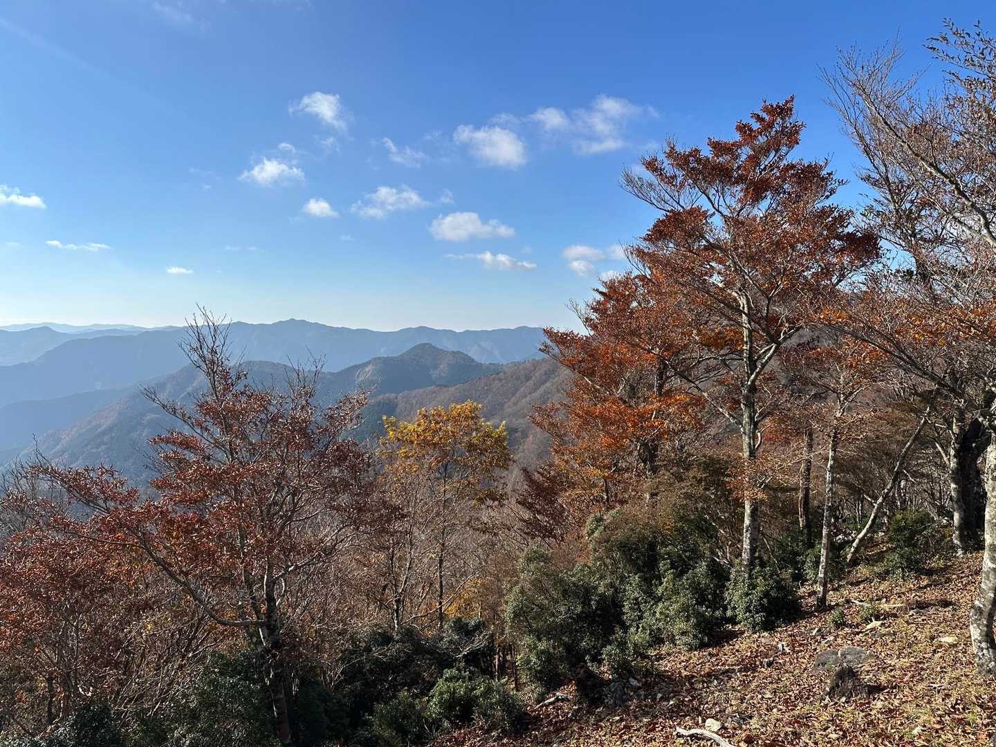 口千丈岳登山口-口千丈山-焼山ノ太尾ノ頭 往復コースの写真