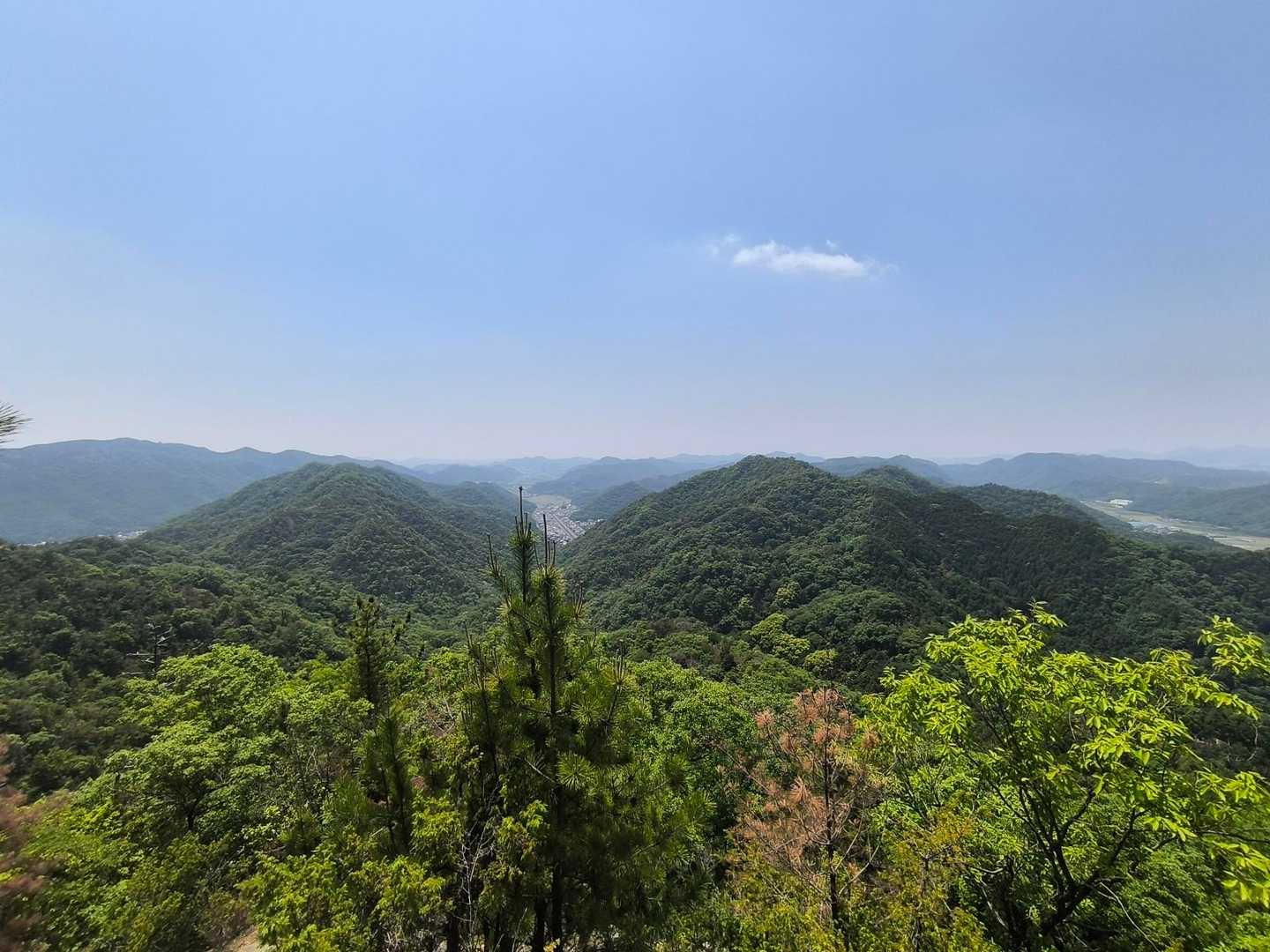 山頂からの景色