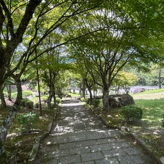 晴れそうにないので下山します
