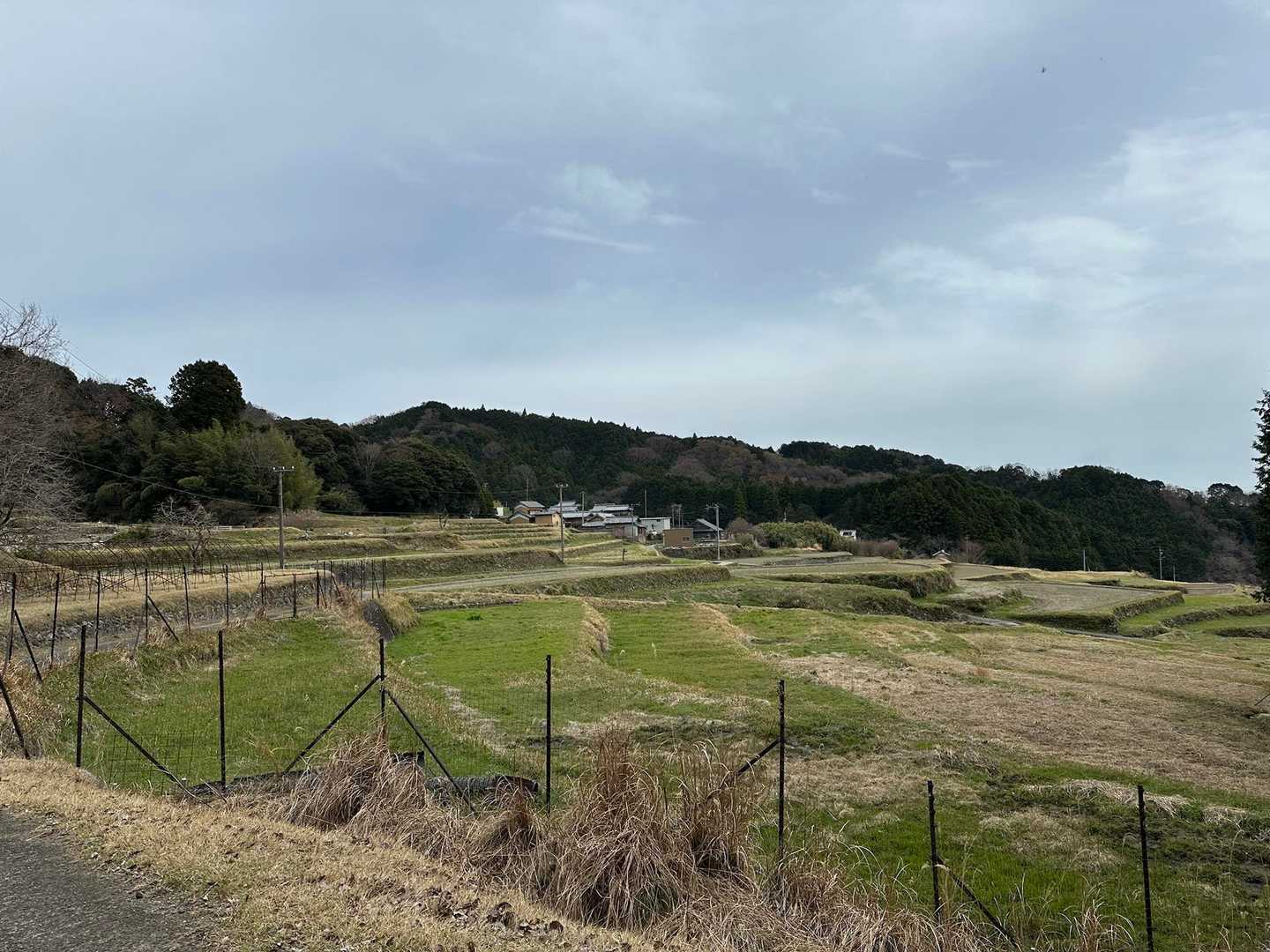 ハイキング道の様な下山路を歩いて柵を抜けると駐車場はもうすぐ
坂本の棚田の緑や黄金色の時にもまた来たいな