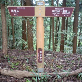 奈良子峠通過