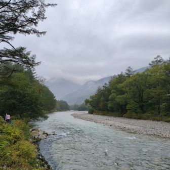 焼岳も見えないね。
この日はずっと雨でした。傘さして無事下山☔