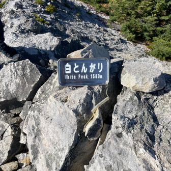 白とんがり山頂