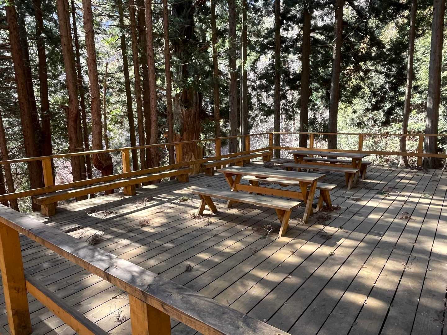こんなデッキもあります
後ろに見えるは矢立の杉🌲