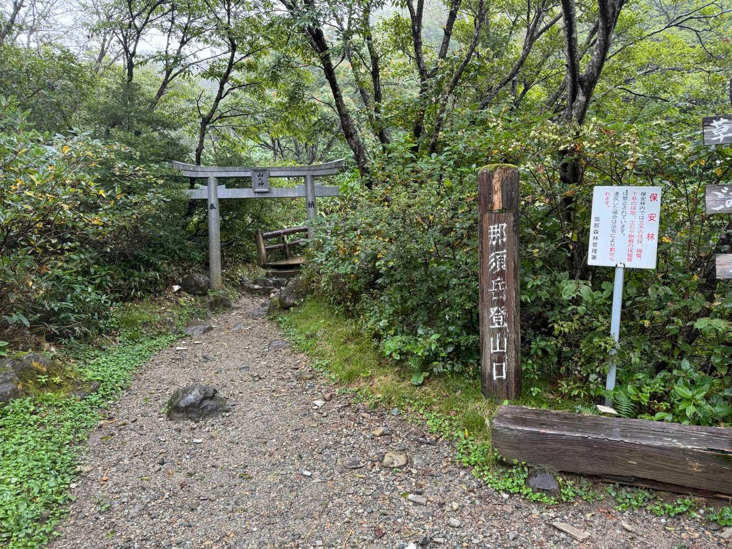 スタートします