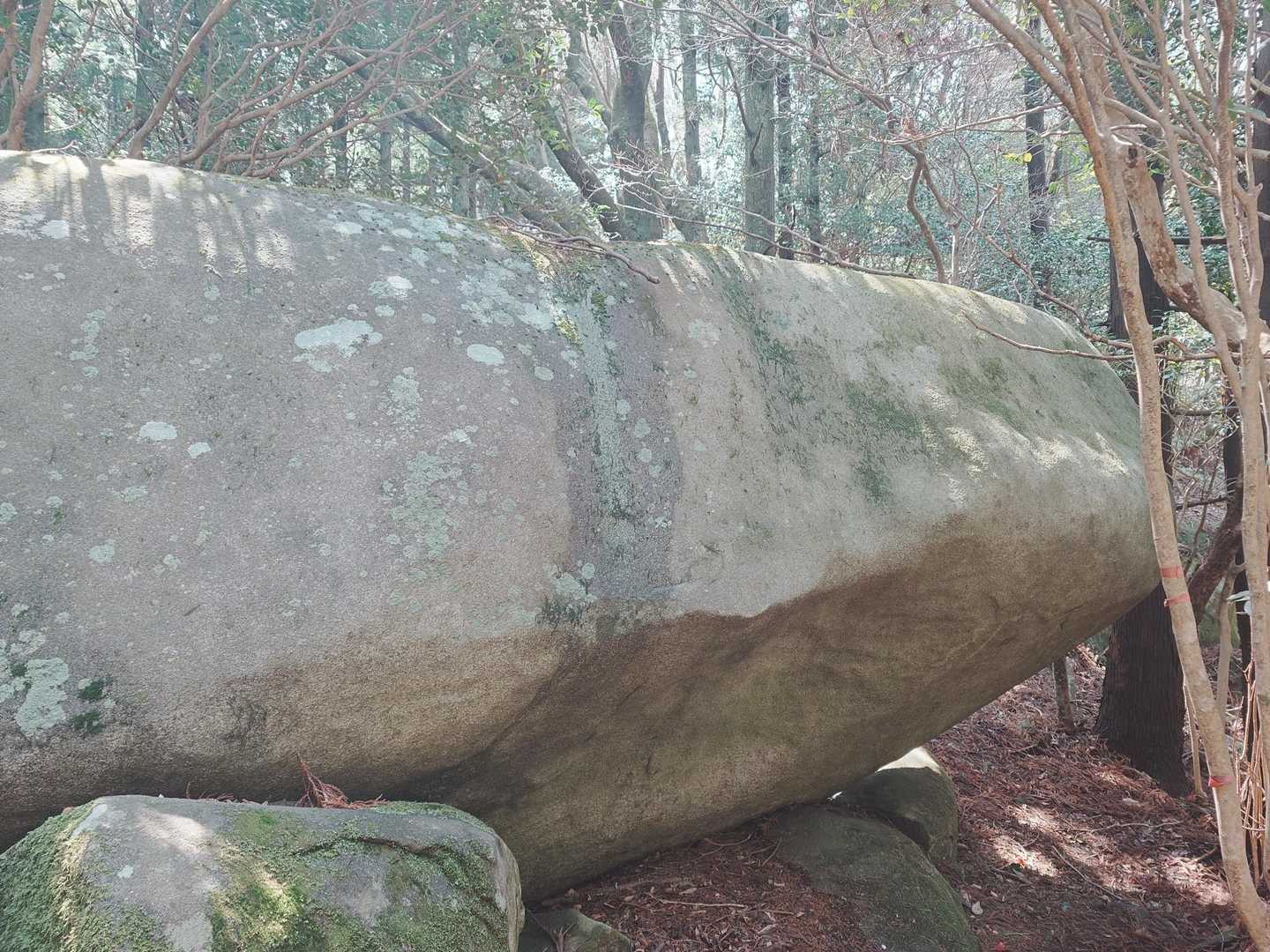 加茂ゆらりんこ橋登山口-加茂神社-真名子登山口-二丈岳-女 周回コースの写真