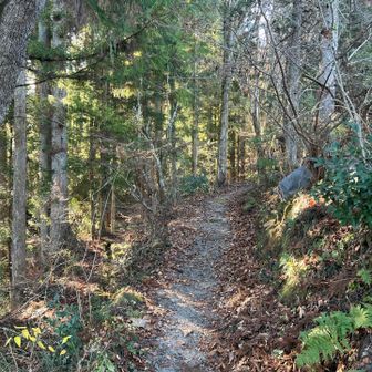 ここからスタート