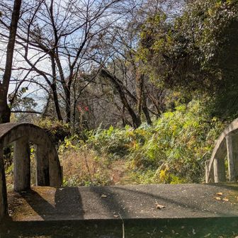 神社の横から…↑
グレーピーク▲の風天山へ