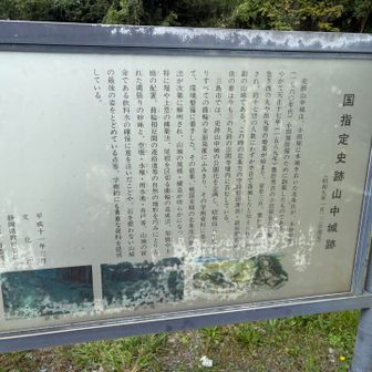 北条氏が豊臣秀吉の小田原攻めの時に戦った城　
圧倒的な豊臣勢の数に半日で落城⚔️