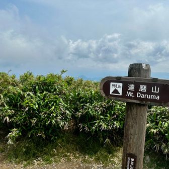 見晴らしの良い所を通るたびに富士山を探しましたが一度も顔を出しませんでした。
次回は富士山が冠雪してからリベンジしたいです。