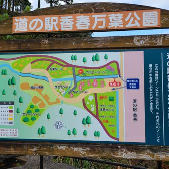 メタセコイヤ大満足の後の登山はやる気⤵️⤵️⤵️です🤣