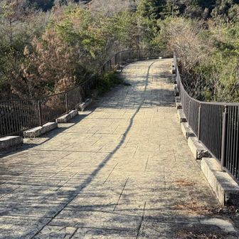 素敵な道はこのあと突き当たりでガードレールの隙間からバス通りに出て歩く