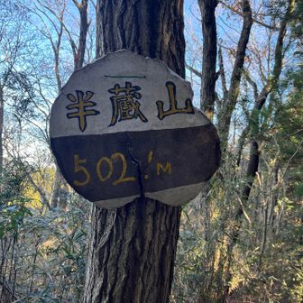2個目の山半蔵山。
男抱山より高い🏔️