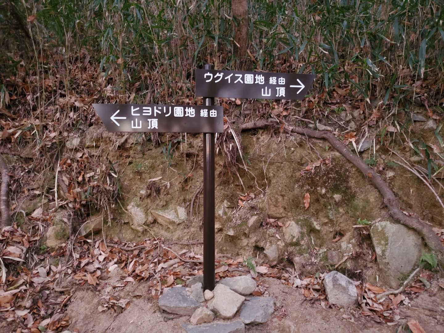 看板が新しくなっとった！