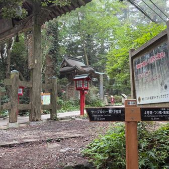 やっと1号路に合流👍