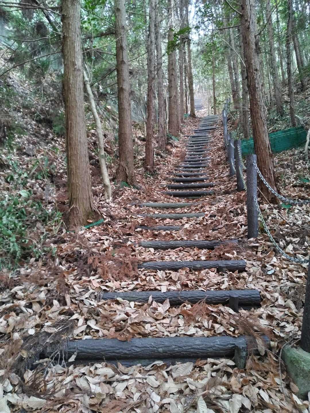 太山寺 仁王門-取付-高畑山 往復コースの写真