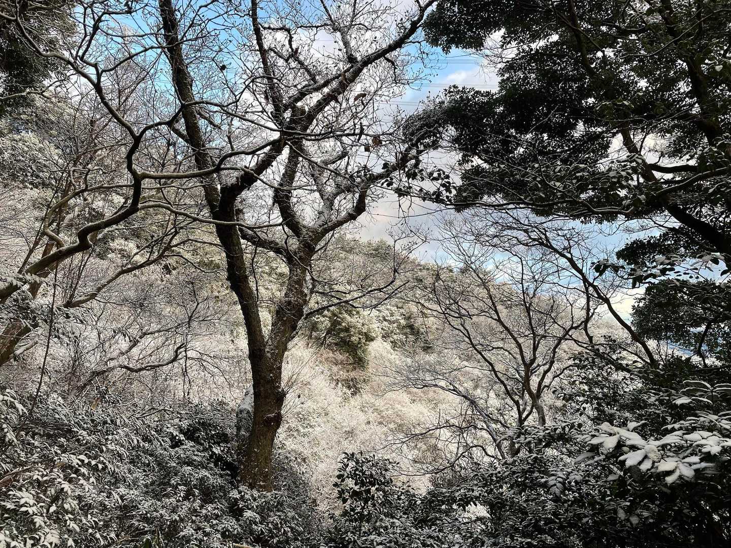 海の見える展望所まで足を伸ばして