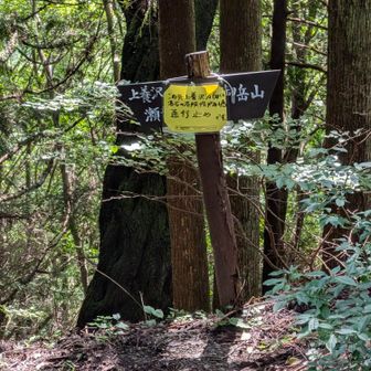 分岐には通行止めのルートあり
