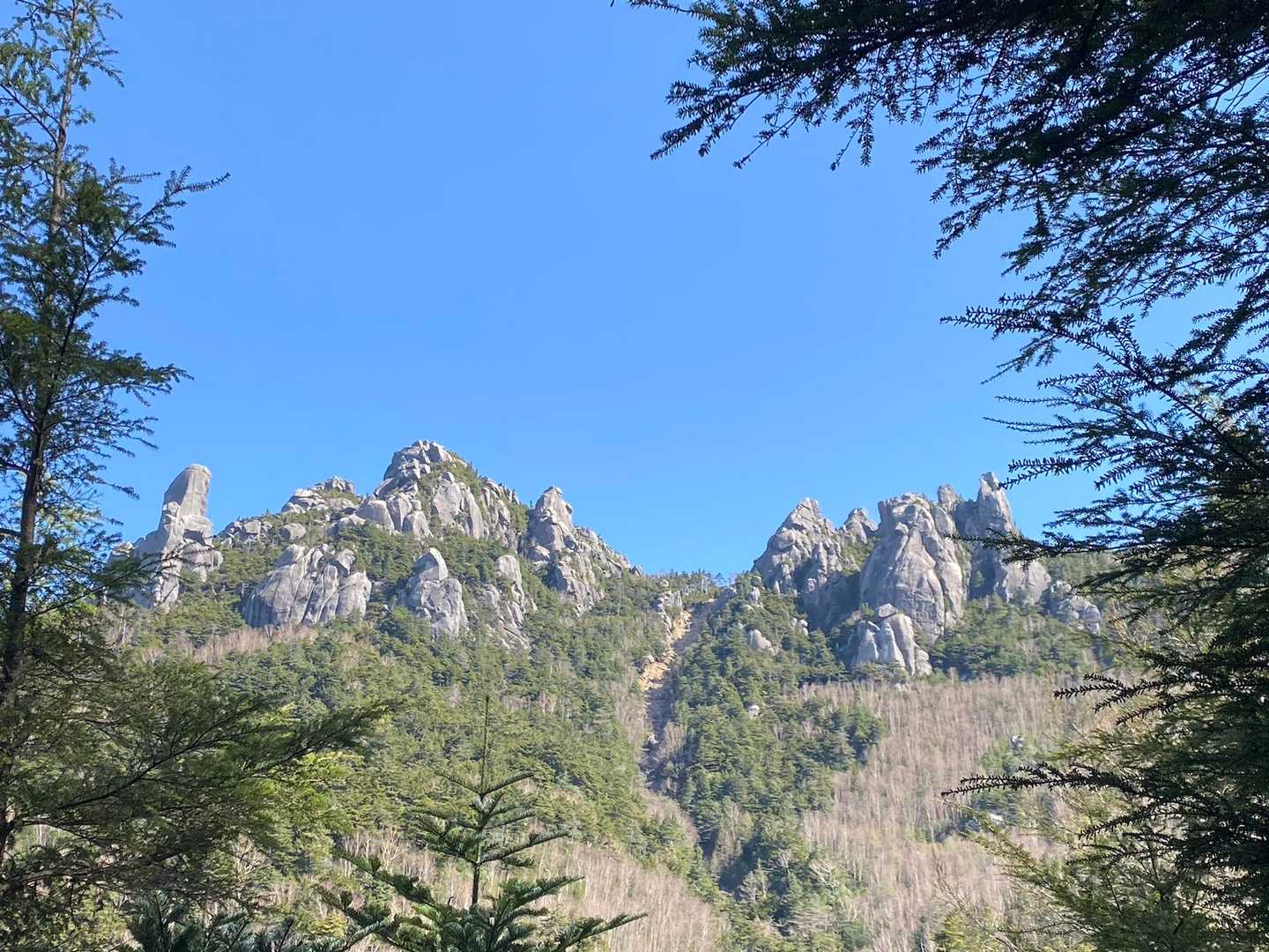 小川山に行く登山道から見える瑞牆山はこんな感じです⛰️