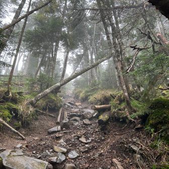 こちらも岩ゴロゴロでなかなか急ですが、意外にも上からも下からも登山者が。幸いにも雨は止みました☺️