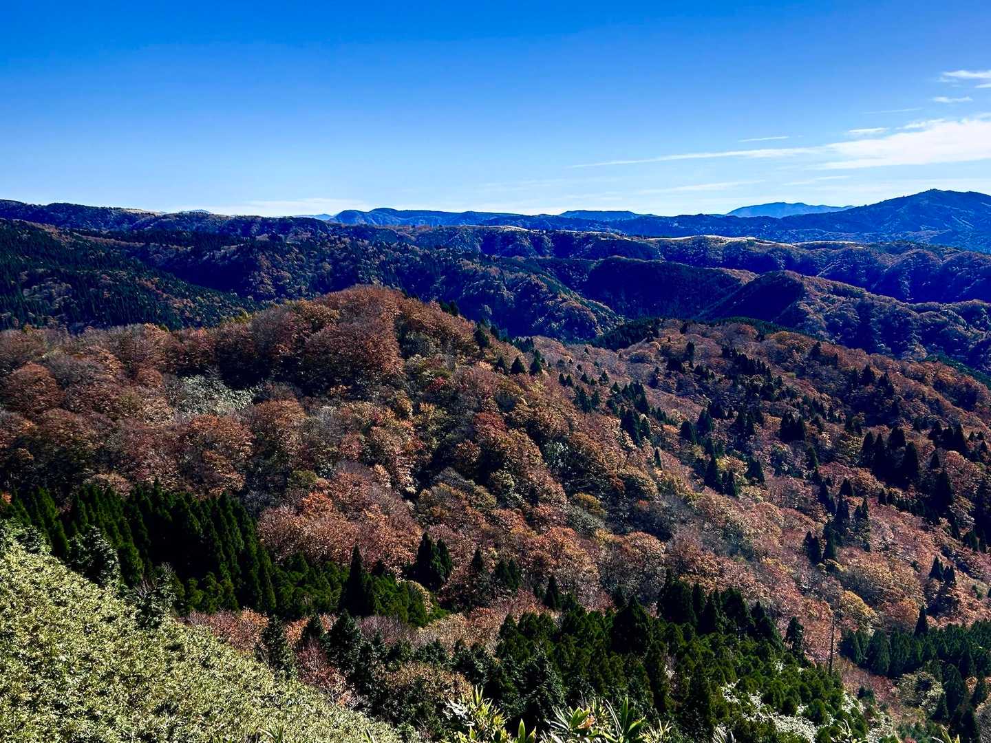 伯州山-霧ヶ原 往復コースの写真