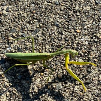 威嚇されている