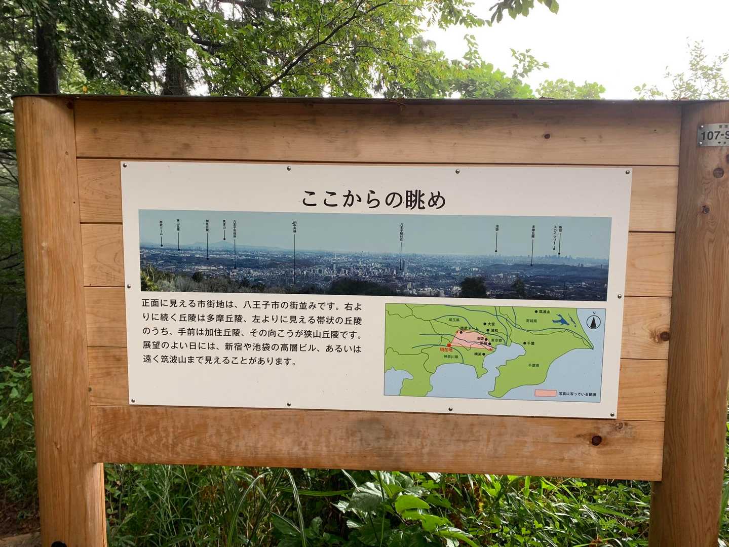 本来ならこの眺め