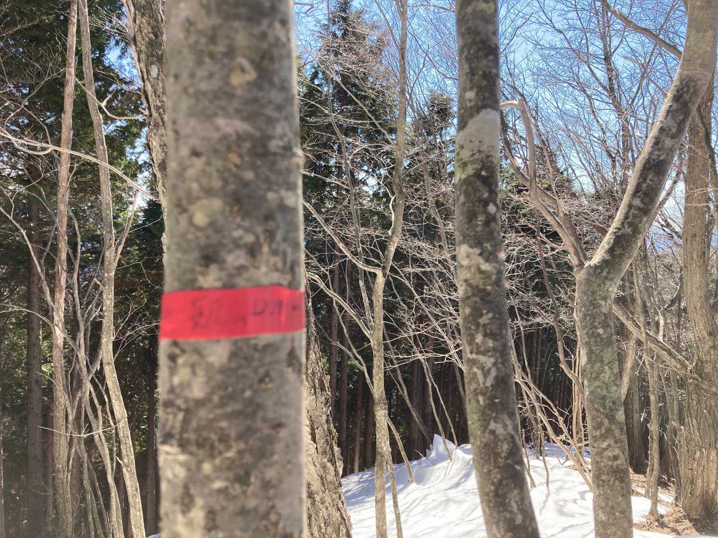 字が消えかかってるけど「長尾山」です。