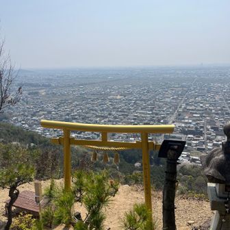 金ピカ鳥居からの眺め⛩️
なんだか、力が湧いてくる〜💪