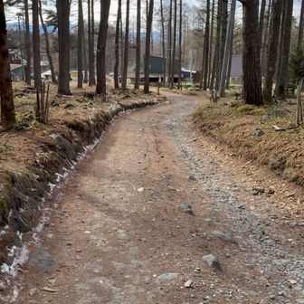 車でショートカットしたかった…！ という気持ちはありながらも、スタスタと歩きようやく…！