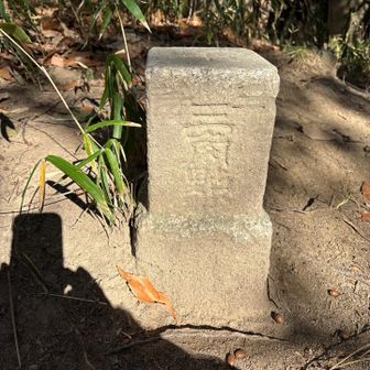 堂徳山の三等三角点