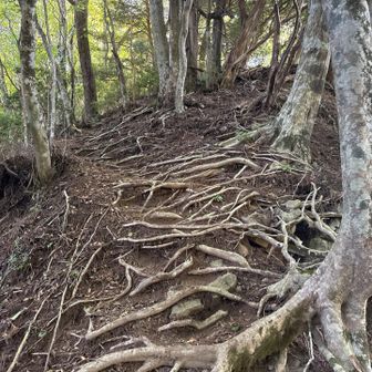 西峰へは軽く下りあり