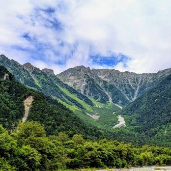 屋久杉を見たい