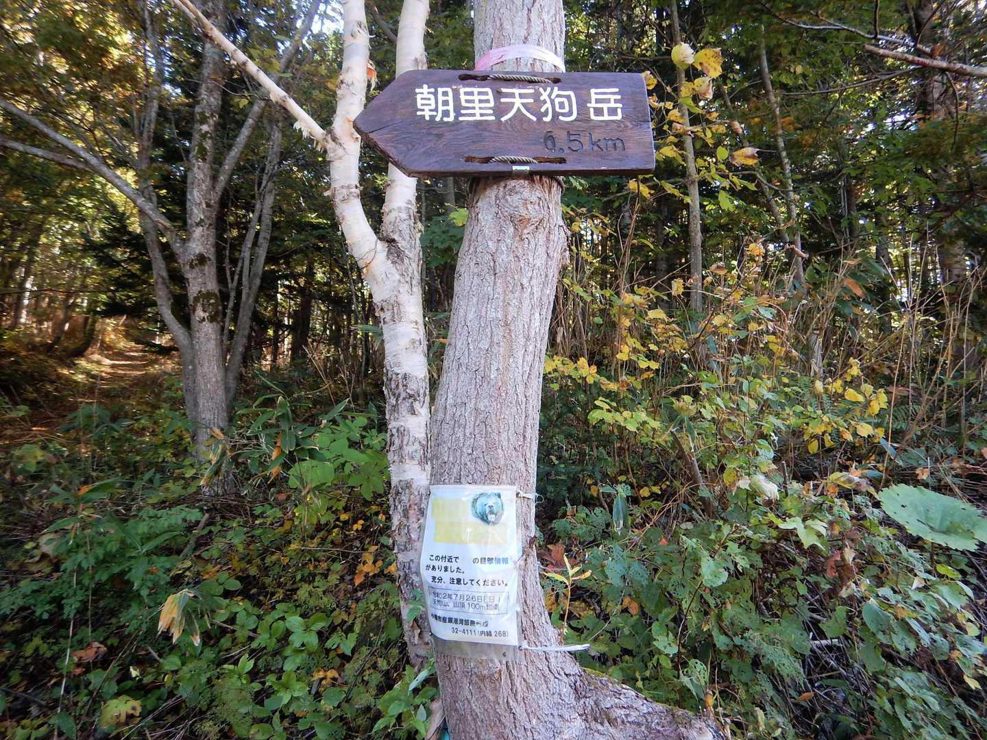 朝里トンネルを抜けて
浅里天狗岳登山口