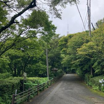 山頂の電波塔が良く見える。