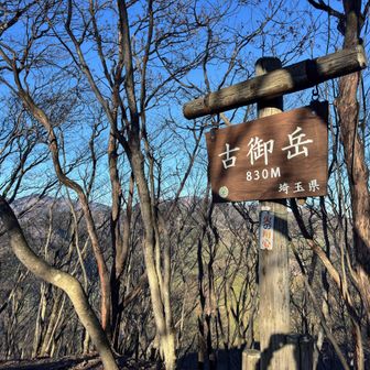 小刻みにアップダウンを繰り返し