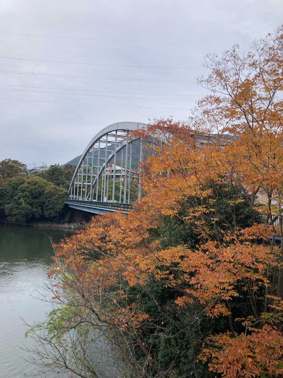 紅葉🍁と橋