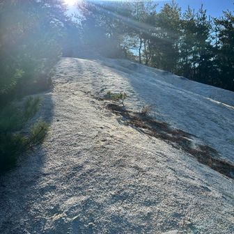 八王子山の途中は白くキレイ