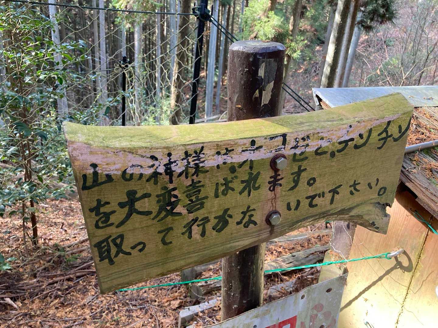 阪急嵐山駅-ハイキングコース入口-松尾山-嵐山-烏ヶ岳-新 縦走コースの写真