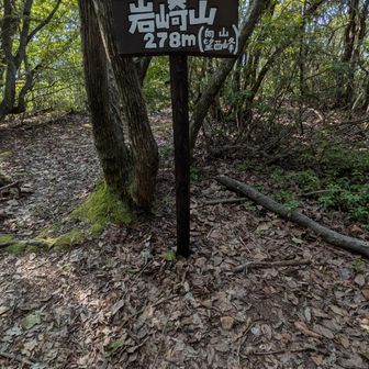 望西峰…琵琶湖がいい