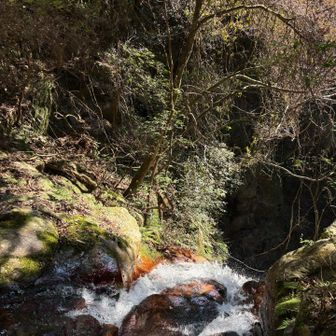 大滝の滝口
直登なんて出来ないので勿論巻いて来ました。