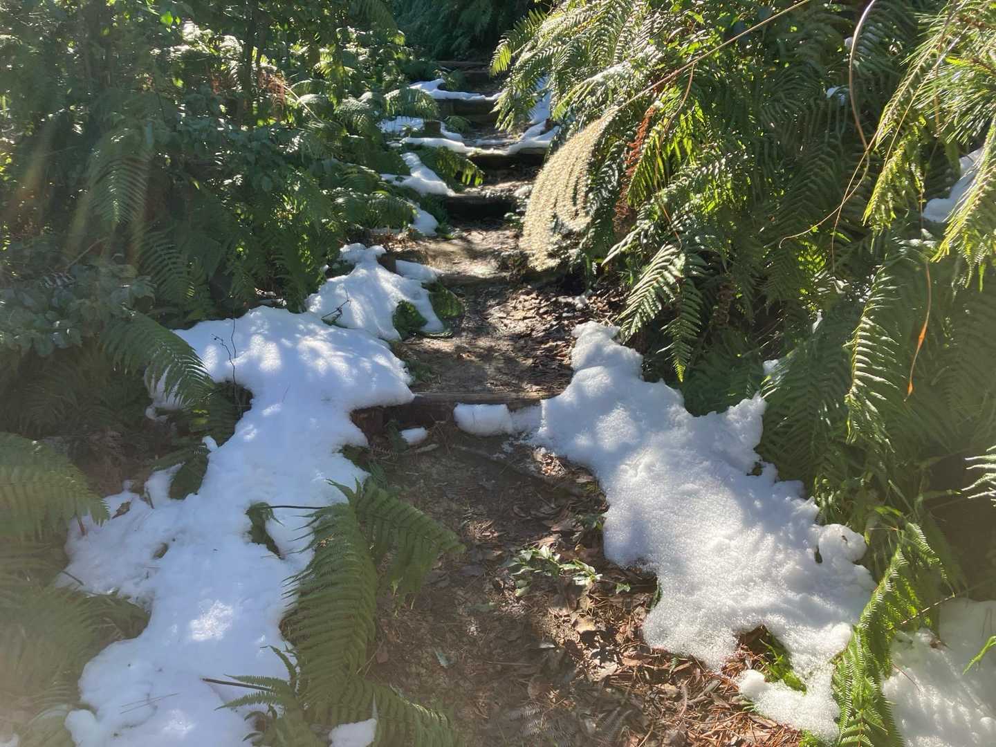 とりあえず山頂を目指します。先日の雪が残っていました。