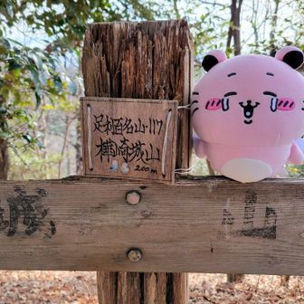 今回最後ピーク｢樺崎城山｣
ゲッツ(σﾟωﾟ)σ✨️
さて、後は下山するだけ
ε=ε=٩(๑･∀･)۶